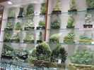[2006_10_12-05_49_57.jpg]