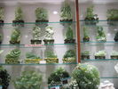 [2006_10_12-05_50_03.jpg]