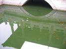 [2006_10_13-21_03_20.jpg]