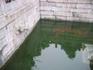 [2006_10_13-21_18_34.jpg]