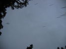 [2006_10_14-02_40_13.jpg]