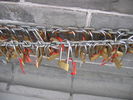 [2006_10_14-18_56_07.jpg]