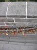 [2006_10_14-18_56_15.jpg]