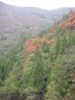 [2006_10_14-18_58_30.jpg]