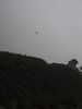 [2006_10_14-19_24_49.jpg]