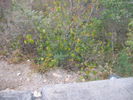 [2006_10_14-19_39_45.jpg]