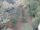 [2006_10_15-00_13_47.jpg]
