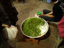 [20080323_141.JPG]
