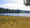 [IMG_1132_r.JPG]