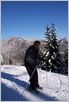 [t_cypress_019.jpg]
