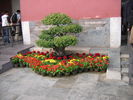 [2006_10_14-23_47_49.jpg]