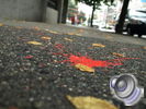 [sep2008-fall.jpg]