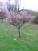[IMG_4684.JPG]