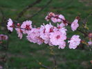 [IMG_4685.JPG]