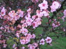 [IMG_4686.JPG]