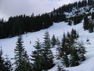 [IMG_4691.JPG]
