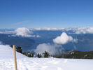 [IMG_4705.JPG]