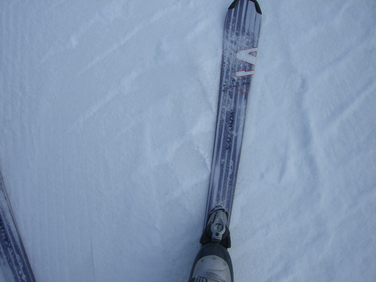 [ski-2007_03_31/CIMG0004.JPG]